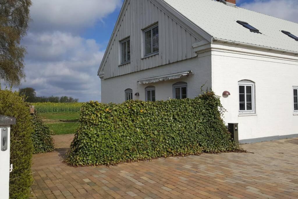 Big House In The Countryside Near Unesco City Christiansfeld Εξωτερικό φωτογραφία